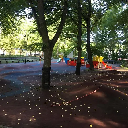 Park Centre Of *