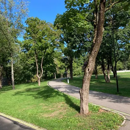 Park Centre Of *
